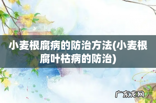 小麦根腐叶枯病的防治 小麦根腐病的防治方法