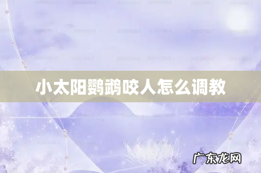 小太阳鹦鹉咬人怎么调教