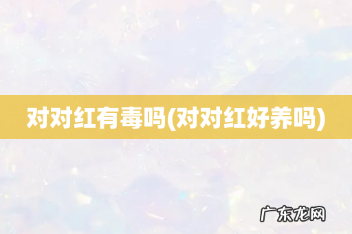 对对红好养吗 对对红有毒吗