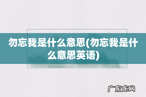 勿忘我是什么意思英语 勿忘我是什么意思