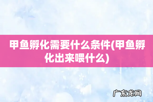 甲鱼孵化出来喂什么 甲鱼孵化需要什么条件