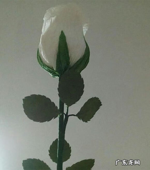 皱纹纸玫瑰花教程一步一步图解 皱纹纸玫瑰花教程