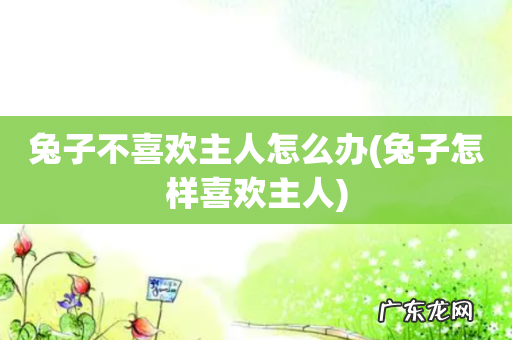 兔子怎样喜欢主人 兔子不喜欢主人怎么办