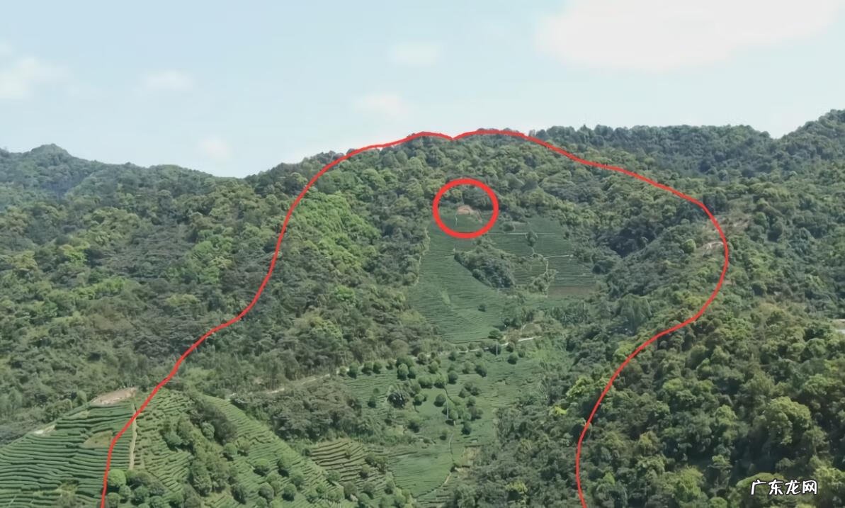 风水学中的点是什么意思 风水上的点穴是什么意思