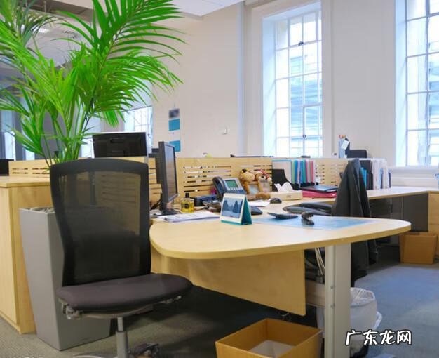 客厅招财风水 理财经理办公室风水