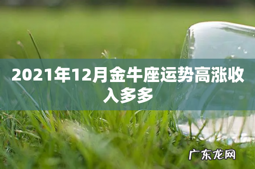 2021年12月金牛座运势高涨收入多多