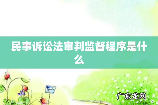 民事诉讼法审判监督程序是什么