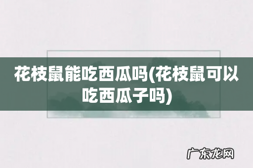 花枝鼠可以吃西瓜子吗 花枝鼠能吃西瓜吗