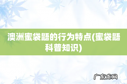 蜜袋鼯科普知识 澳洲蜜袋鼯的行为特点