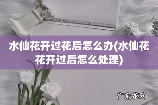 水仙花花开过后怎么处理 水仙花开过花后怎么办