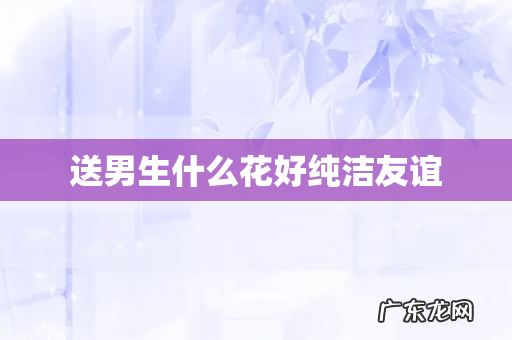 送男生什么花好纯洁友谊