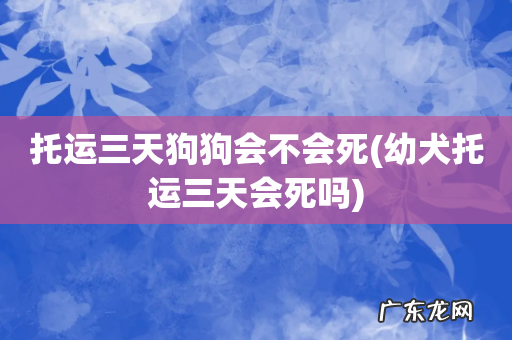 幼犬托运三天会死吗 托运三天狗狗会不会死