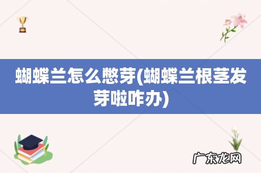 蝴蝶兰根茎发芽啦咋办 蝴蝶兰怎么憋芽