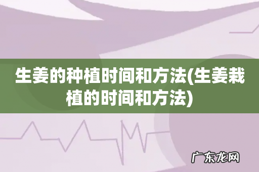 生姜栽植的时间和方法 生姜的种植时间和方法