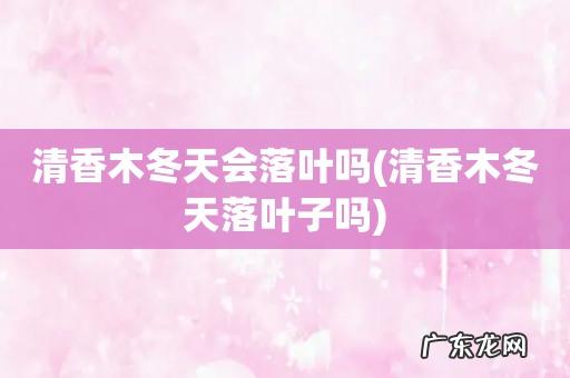 清香木冬天落叶子吗 清香木冬天会落叶吗