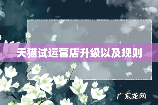 天猫试运营店升级以及规则