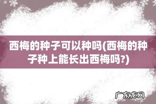西梅的种子种上能长出西梅吗? 西梅的种子可以种吗