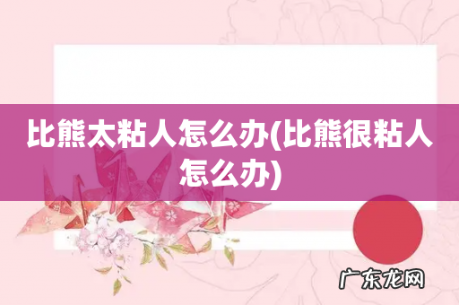 比熊很粘人怎么办 比熊太粘人怎么办