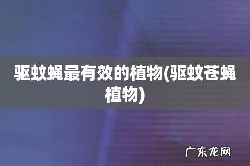 驱蚊苍蝇植物 驱蚊蝇最有效的植物