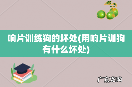 用响片训狗有什么坏处 响片训练狗的坏处