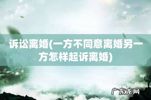 一方不同意离婚另一方怎样起诉离婚 诉讼离婚