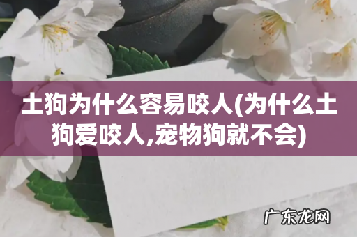 为什么土狗爱咬人,宠物狗就不会 土狗为什么容易咬人