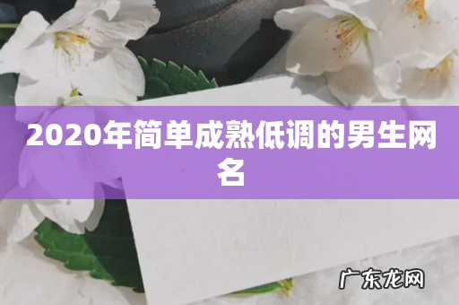 2020年简单成熟低调的男生网名
