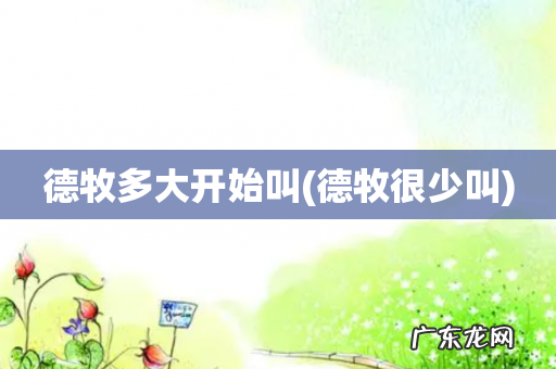 德牧很少叫 德牧多大开始叫