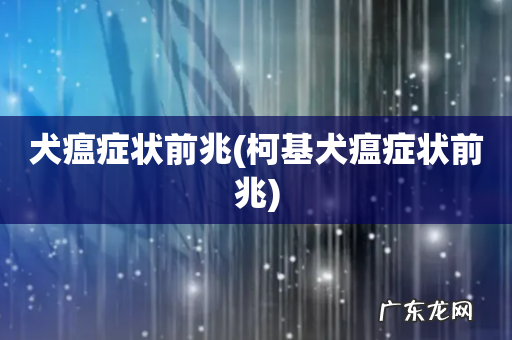 柯基犬瘟症状前兆 犬瘟症状前兆