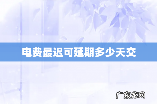 电费最迟可延期多少天交