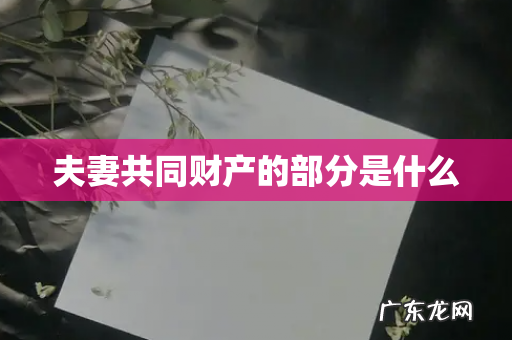 夫妻共同财产的部分是什么