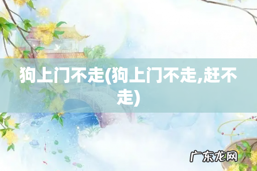 狗上门不走,赶不走 狗上门不走