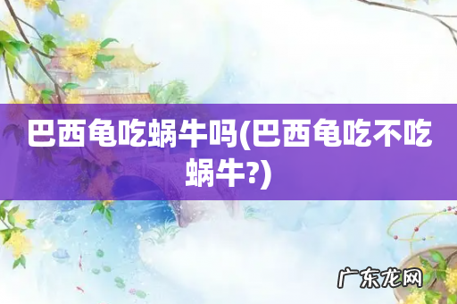 巴西龟吃不吃蜗牛? 巴西龟吃蜗牛吗