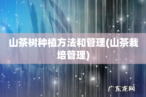 山茶栽培管理 山茶树种植方法和管理