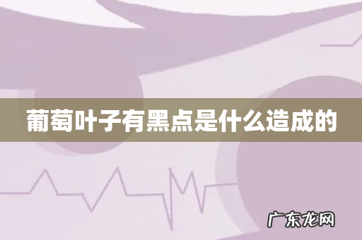 葡萄叶子有黑点是什么造成的