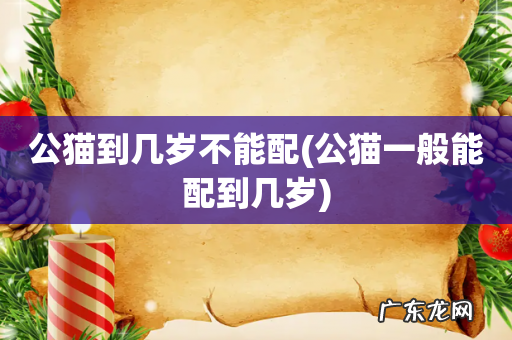 公猫一般能配到几岁 公猫到几岁不能配