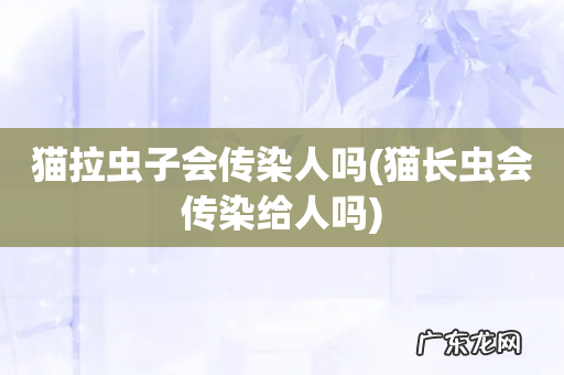 猫长虫会传染给人吗 猫拉虫子会传染人吗
