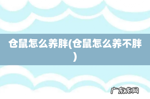仓鼠怎么养不胖 仓鼠怎么养胖