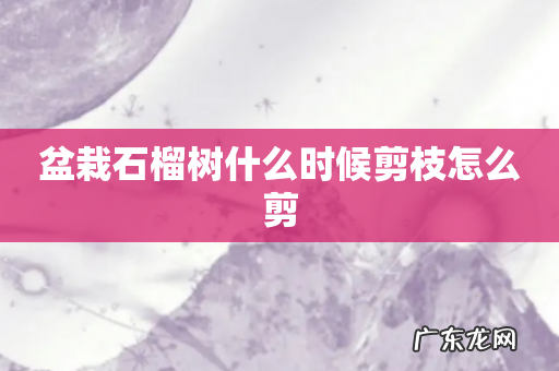 盆栽石榴树什么时候剪枝怎么剪