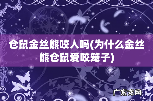 为什么金丝熊仓鼠爱咬笼子 仓鼠金丝熊咬人吗