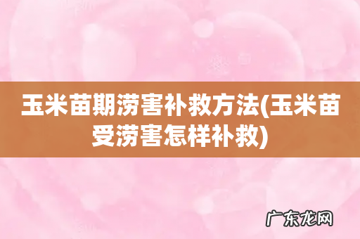 玉米苗受涝害怎样补救 玉米苗期涝害补救方法