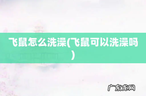 飞鼠可以洗澡吗 飞鼠怎么洗澡