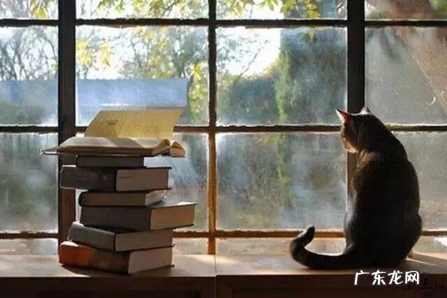 安居不用架高堂翻译 什么是架高堂