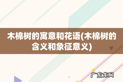 木棉树的含义和象征意义 木棉树的寓意和花语