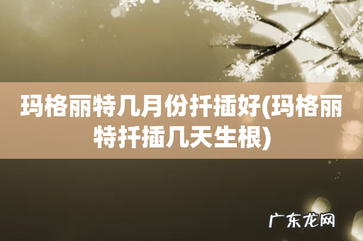 玛格丽特扦插几天生根 玛格丽特几月份扦插好