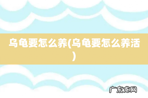 乌龟要怎么养活 乌龟要怎么养