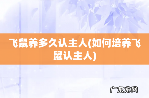 如何培养飞鼠认主人 飞鼠养多久认主人