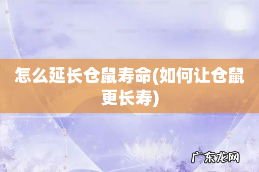 如何让仓鼠更长寿 怎么延长仓鼠寿命