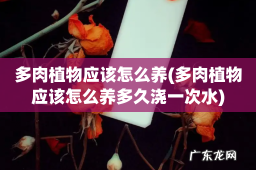 多肉植物应该怎么养多久浇一次水 多肉植物应该怎么养