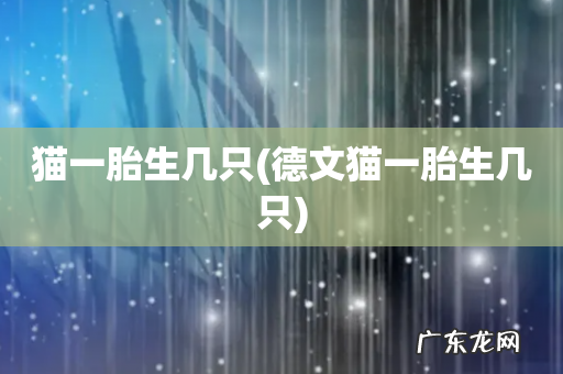 德文猫一胎生几只 猫一胎生几只